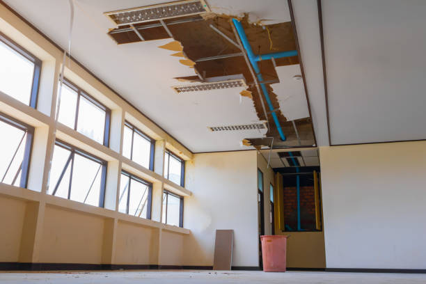 Best Water damage cleanup near me  in Hampstead, NC
