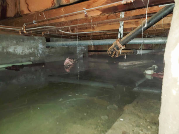 Best Ceiling water damage repair  in Hampstead, NC
