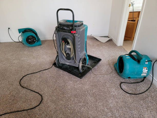 Best Flood restoration services  in Hampstead, NC