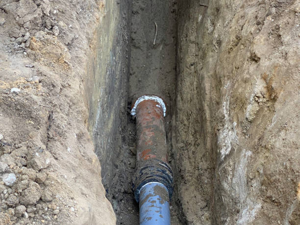 Best Flood damage cleanup  in Hampstead, NC