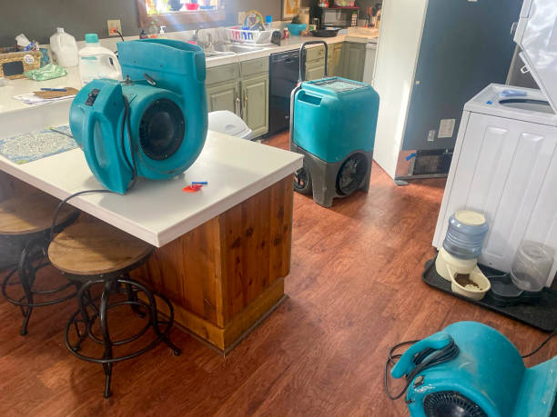 Trusted Hampstead, NC Water damage restoration Experts