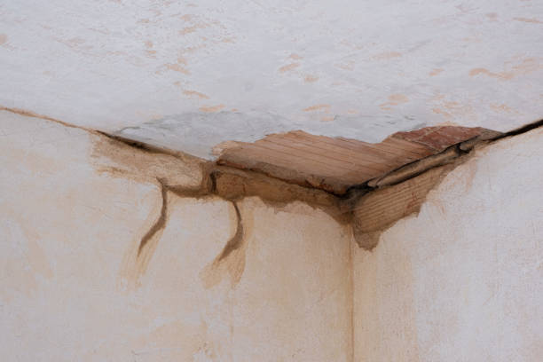 Best Commercial water damage restoration  in Hampstead, NC