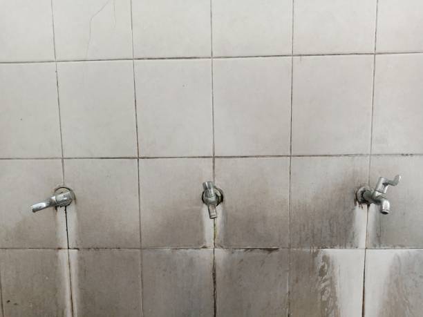 Best Sewage cleanup and water damage restoration  in Hampstead, NC